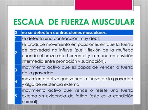 Escala De Fuerza Muscular