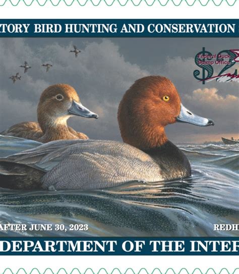 Federal Duck Stamp Us Fish And Wildlife Service