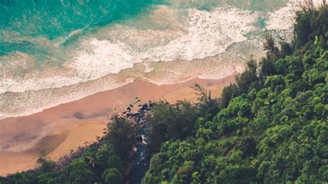 Hd Wallpaper Forest Beach Waves Sea Aerial View Download