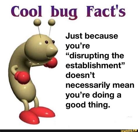 Cool Bug Facts Just Because Youre Disrupting The Establishment