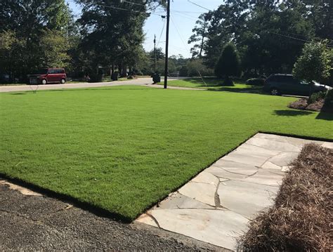 How To Care For Bermuda Grass In Macon Warner Robins Smartliving
