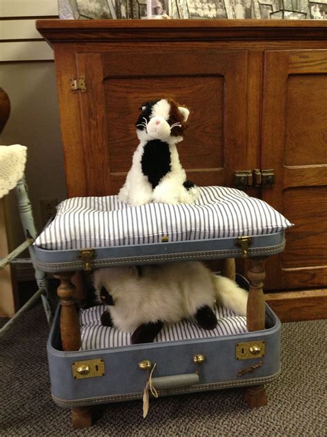A Black And White Cat Sitting On Top Of A Suitcase