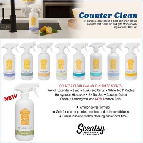 Scentsy Cleaner