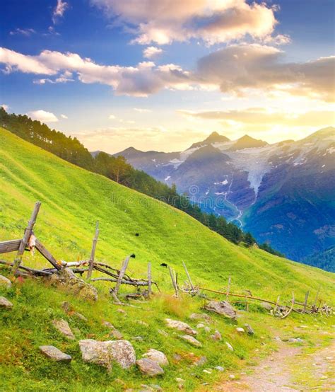 Summer Landscape In The Mountains Stock Image Image Of Bright Beauty