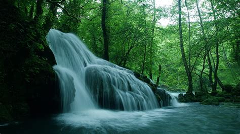 Waterfalls Pouring On River From Rock Surrounded By Green Trees Forest