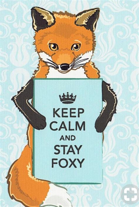 Pin By Mandy Rappoport On Keep Calm Quotes Fox Illustration Fantastic Fox Fox Art
