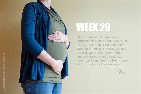 29 Weeks Pregnancy Series Haley Lorraine Photography