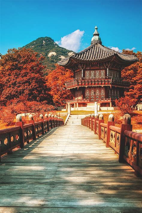eclypxe — wnderlst: Seoul, South Korea | Damian Bere | South korea