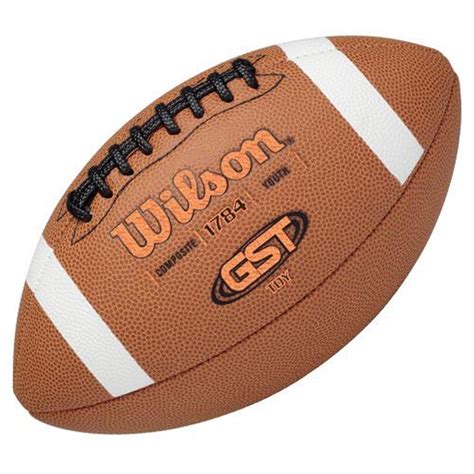 Wilson 1003 Gst Leather Practice Football Sports Footballs