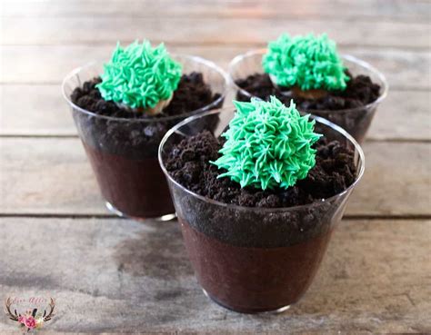 Cacti are among some of our most popular this is probably down to the fact that cacti are very forgiving, and can go for make sure you bring them back indoors before the weather turns cold in early. Cactus Themed Desserts - Ever After in the Woods