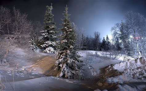 Landscape Nature Winter Snow Forest Lights Cold Trees Hill Wallpaper