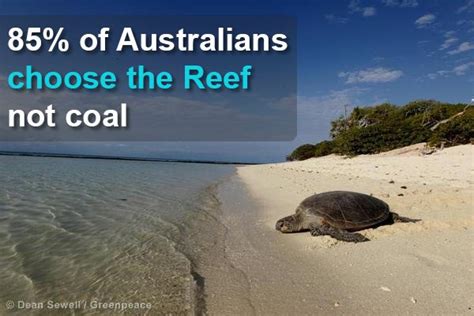 Greenpeace australia emerged as an environmental campaign group in the mid 1970s. australians Archives - Greenpeace Australia Pacific