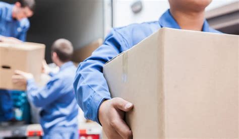 Five Undeniable Benefits Of Hiring Moving Service Storia