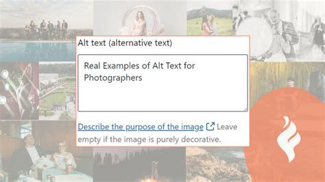 29 Examples Of Great Alt Text For Photographers Fuel Your Photos