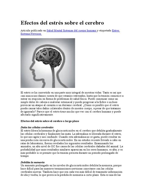 Efectos Del Estrés Sobre El Cerebrodocx Estrés Biología
