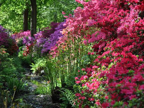 21 Photos Of Flowers Blooming All Over London