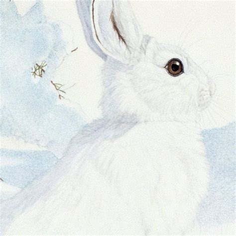Snowshoe Hare Art Print By Glen Loates The