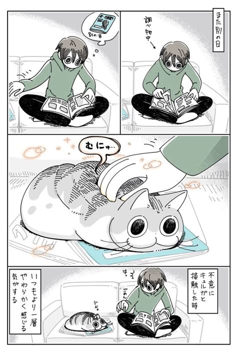 不思議な筆致に癒される猫漫画『夜は猫といっしょ』第2巻本日発売！｜ねこナビ