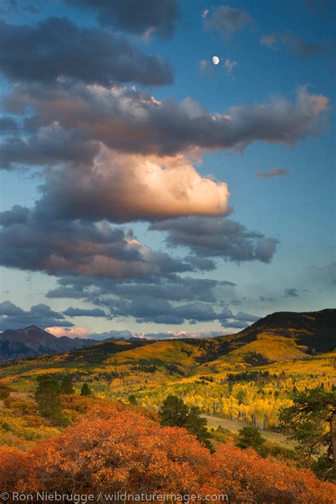 Autumn Colors Colorado Photos By Ron Niebrugge