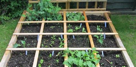 I turned the lawn in my side yard into productive abundance! Square Foot Gardening | The Old Farmer's Almanac
