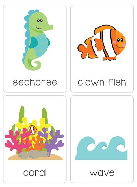 Ocean Flash Cards Sea Creatures Ocean Animals Flash Etsy Ingles