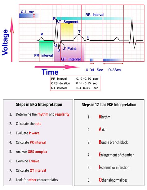 Printable Ekg Cheat Sheet In Download Simply Click On The Gallery At