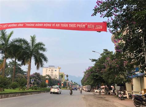 Mùa hoa tìm lại lấy đề tài nông thôn, do thanh hương đóng chính. Hoa bằng lăng - màu tím thủy chung đi qua từng mùa hạ