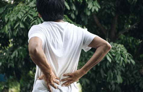 Lower Back Pain 101 Causes Tests And Treatment Homage Malaysia