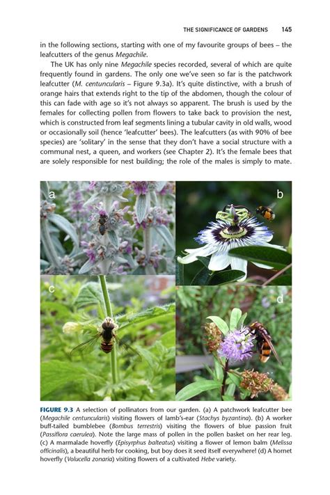 Pollinators And Pollination Veldshopnl