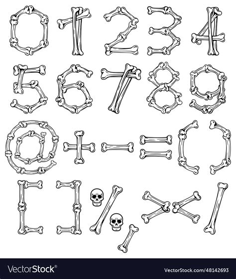 Bone Font Alphabet Letters Royalty Free Vector Image