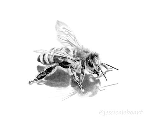 Drawing a cool 3d hole optical illusion.materials used: Graphite pencil bee drawing. | Pencil drawing inspiration ...