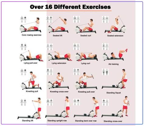 7 Benefits Of Rowing Machine Workout 2021 Workout Guide Rowing