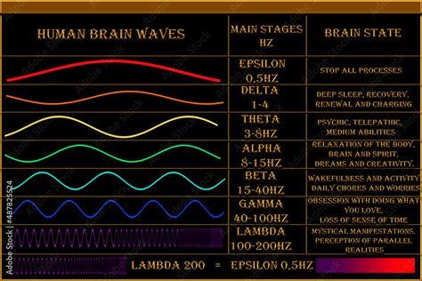 Human Brain Waves Basic Levels Of Brain Wave Frequencies Processes