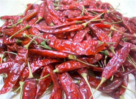 Guntur Dry Red Chillies At Rs 220kg S4 Sannam Guntur Dry Red Chilli