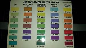Api Freshwater Master Test Kit Review Tropical Fish Site