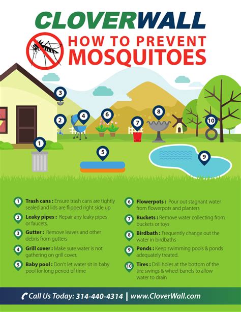 Standing Water In Yard Mosquitoes Nolyutesa
