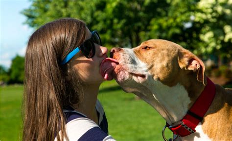 Reductress Cool This Woman Will Let Her Dog Lick Her On The Mouth