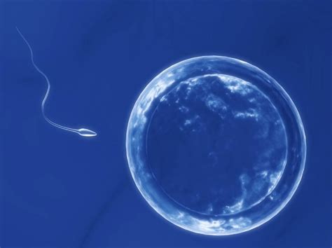 Take One Egg Cool To 196 C Revolutionize Fertility Toronto Star