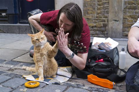 The true feel good story of how james bowen, a busker and recovering drug addict. VIP Book Club Podcast - 7/2018 A Street Cat Named Bob ...