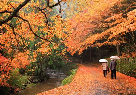 Hiroshimas Top 5 Fall Foliage Spots 2018 Edition