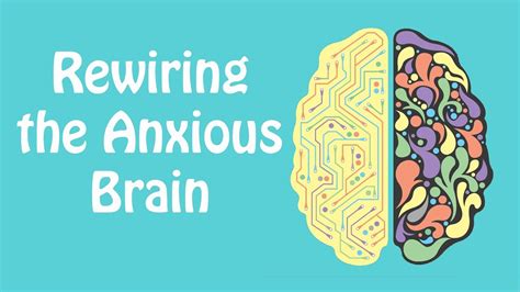 Rewiring The Anxious Brain Neuroplasticity And The Anxiety Cycle