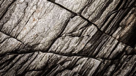 Download Wallpaper 2560x1440 Texture Stone Rock Fossil