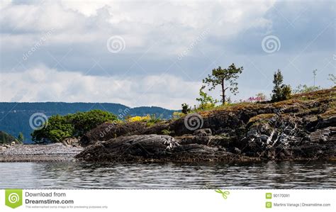 Norway Sea Shore Landscape View Stock Image Image Of Port Norway