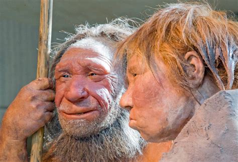 A Neanderthal Tooth Discovered In Serbia Reveals Human Migration