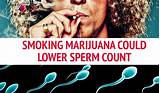 Pictures of Does Marijuana Lower Sperm Count