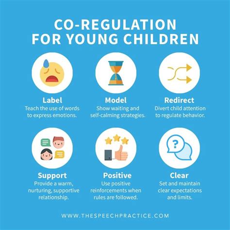 Thespeechpractice on Instagram: “Co-regulation is the interaction which