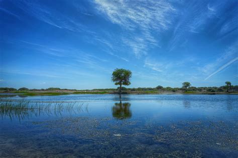 Oasis in the desert,Great nature,so peaceful and beautiful | Nature