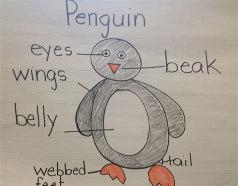 What is a diagram in a nonfiction book. My First Grade Backpack: January 2012