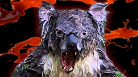 Dropbears Australias Deadliest Animal Youtube
