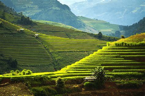 Banaue Rice Terraces Activities And Attractions Vacationhive